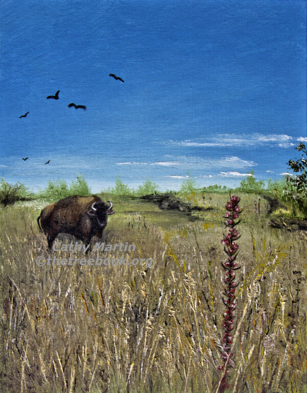 Buffalo by artist Cathy Martin