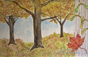 Sugar Maple by artist Kris Barlow The Treebook Project